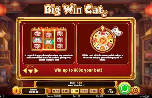 Правила респинов в игре Big Win Cat